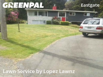 Grass Cut nearby Bellevue, WA, 