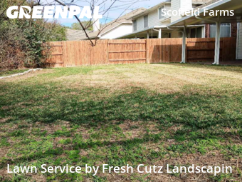 Grass Cut nearby Austin, TX, 