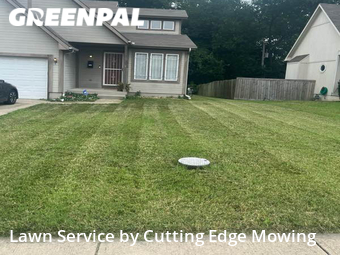Grass Cut nearby Kansas City, MO, 