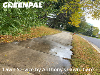 Lawn Care nearby Eden Prairie, MN, 