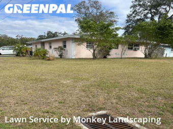 Grass Cut nearby St. Petersburg, FL, 