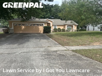 Lawn Cut nearby Clermont, FL, 
