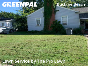Lawn Mowing Service nearby Hampton, VA, 