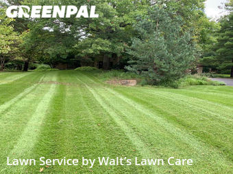 Lawn Care nearby Grand Rapids, MI, 