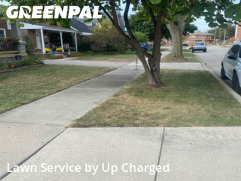 Yard Cutting nearby Dearborn, MI, 