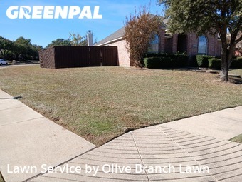 Yard Cuttingin Keller,76248,Lawn Care by Olive Branch Lawn, work completed in Dec , 2025
