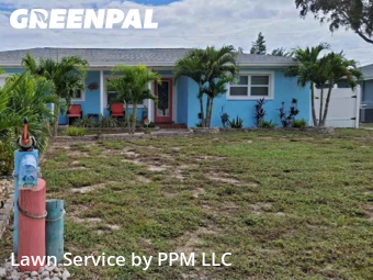 Lawn Cut nearby Largo, FL, 