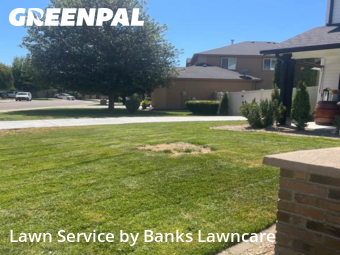 Grass Cutting nearby Meridian, ID, 