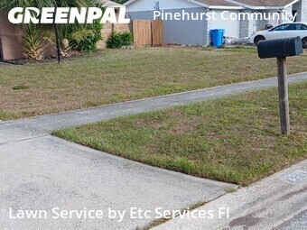 Grass Cut nearby Tampa, FL, 
