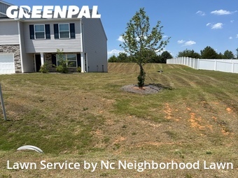 Lawn Mow nearby Lexington, NC, 