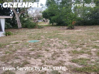 Yard Mowing nearby Holiday, FL, 