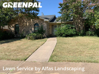 Lawn Cut nearby The Colony, TX, 