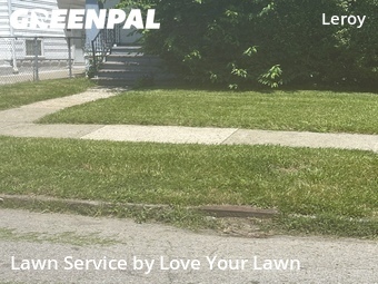 Lawn Care Service nearby Buffalo, NY, 