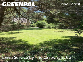 Lawn Cutting nearby Raleigh, NC, 