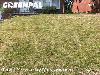 Yard Cutting nearby Wilkinsburg, PA, 