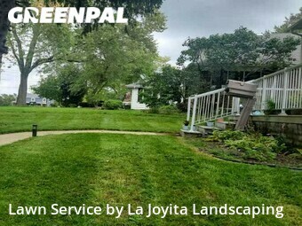 Lawn Mow nearby New Lenox, IL, 