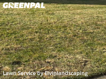 Lawn Care Service nearby Baltimore, MD, 