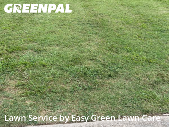 Lawn Service nearby Mt. Juliet, TN, 