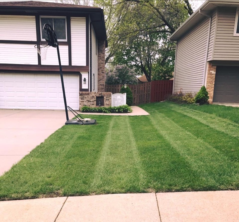 Taute Lawns Llc Lawn Care Services in Omaha, NE
