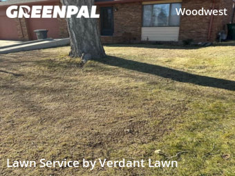 Yard Mowing nearby Fort Collins, CO, 