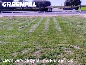 Lawn mowing work completed in Turlock, CA