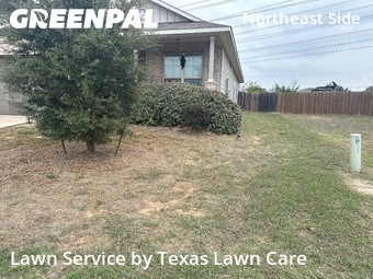 Grass Cutin Converse,78109,Lawn Cutting by Texas Lawn Care, work completed in Dec , 2025