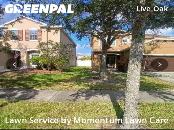 Lawn Mow nearby Tampa, FL, 