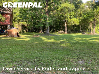 Lawn Cut nearby Brooksville, FL, 