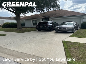 Yard Cutting nearby Minneola, FL, 