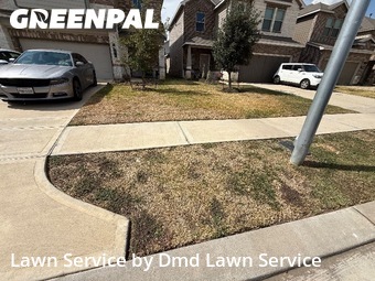 Work completed by affordable-grass-cutting-businesses-in-Cypress-CA