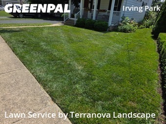 Garden Trimming in Glen Ellyn, 60137, Grass Cutting by Terranova Landscape, work completed in Oct , 2025