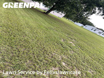 Grass Cutting nearby Thonotosassa, FL, 