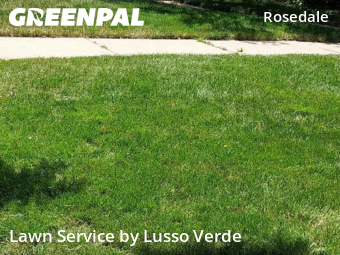 Grass Cutting nearby Denver, CO, 