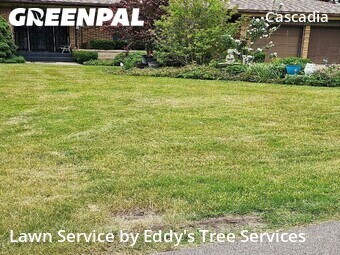 Lawn Mowing Service nearby Grand Rapids, MI, 