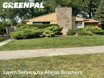 Lawn Mowingin Elmhurst,60126,Yard Cutting by Alejos Brothers, work completed in Nov , 2025