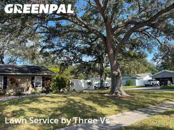 Lawn Mowingin Dunedin,34698,Yard Cutting by Three Vs , work completed in Feb , 2026