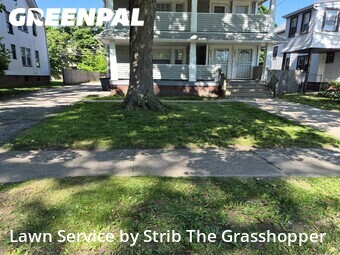 Yard Mowing nearby East Cleveland, OH, 
