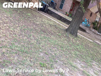 Lawn Mow nearby Fort Worth, TX, 