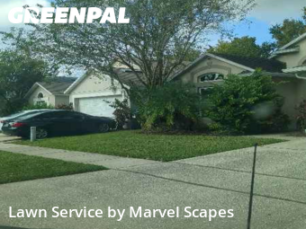 Lawn Cutting nearby Orlando, FL, 
