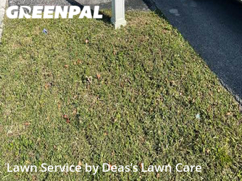 Yard Cutting nearby North Miami, FL, 