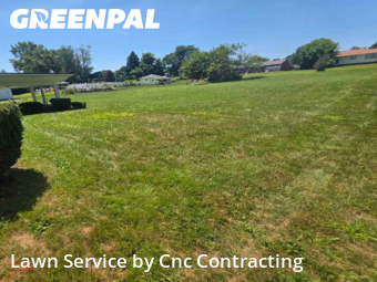 Yard Cutting nearby Youngstown, OH, 