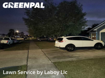 Lawn Cutting nearby Orlando, FL, 
