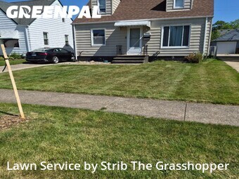 Grass Cut nearby Parma, OH, 