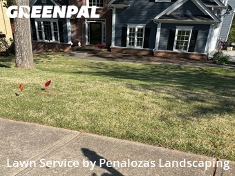 Lawn Mowing nearby Cumming, GA, 