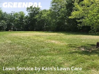 Yard Cutting nearby Texas City, TX, 