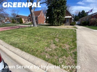 Grass Cut nearby Evergreen Park, IL, 