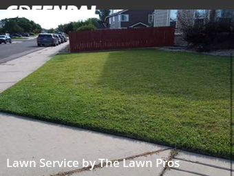 Lawn Service nearby Thornton, CO, 