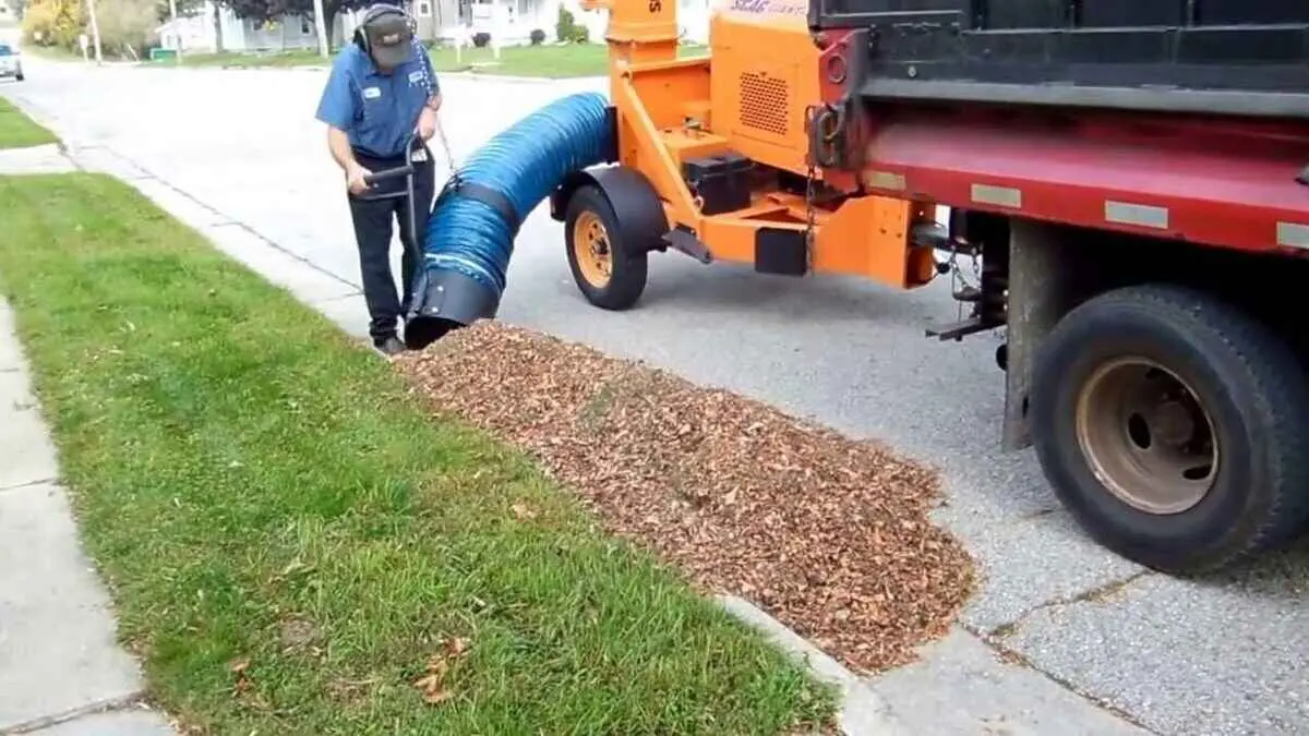 3 Better alternatives to burning leaves | Don't Take the Risk