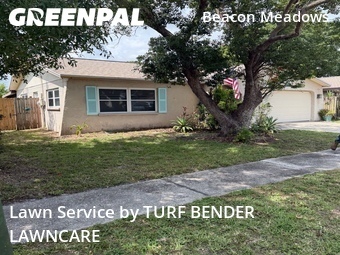 Lawn Mow nearby Tampa, FL, 