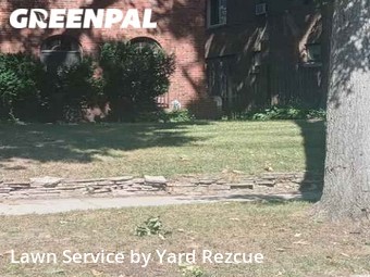 Grass Cut nearby Detroit, MI, 